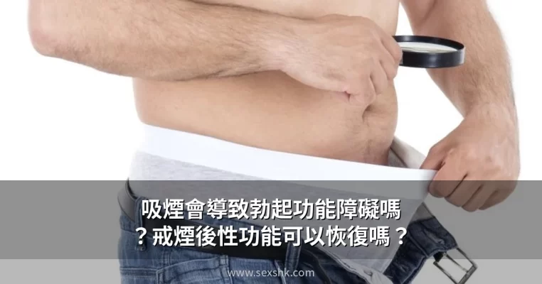 cover 10