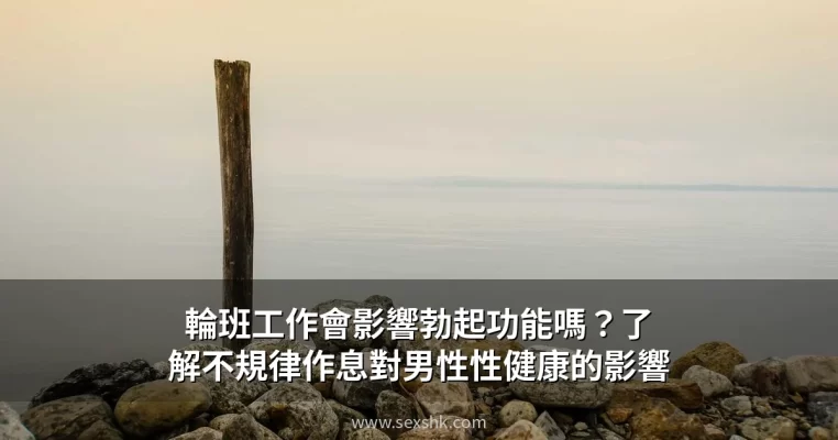 cover 11