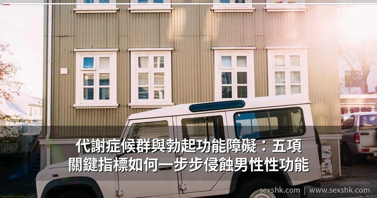 代謝症候群與勃起功能障礙:五項關鍵指標如何一步步侵蝕男性性功能 1 代謝症候群與勃起功能障礙:五項關鍵指標如何一步步侵蝕男性性功能