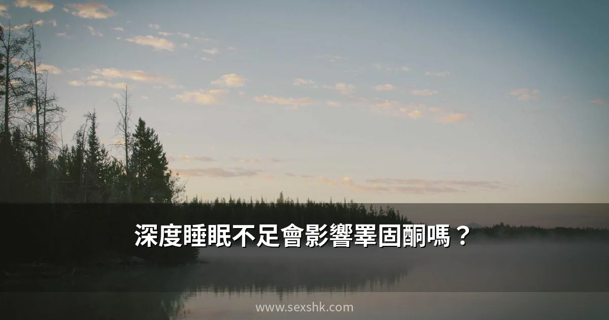 深度睡眠不足會影響睪固酮嗎?睡眠質素與男性荷爾蒙的驚人關係 7 sexshk cover 3