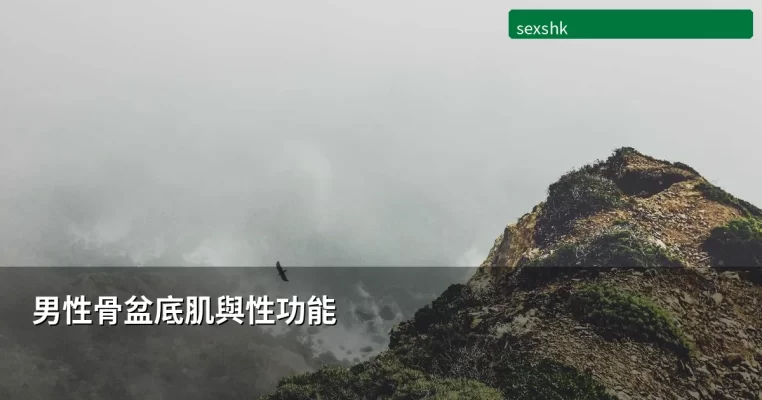 sexshk cover