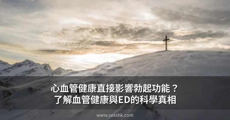 心血管健康與勃起功能關係圖