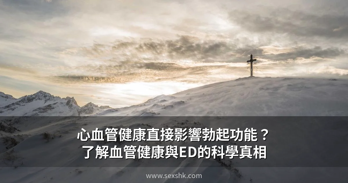 心血管健康與勃起功能關係圖