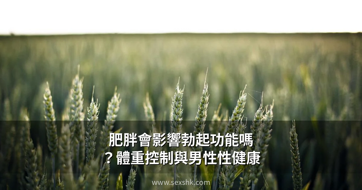 sexshk cover 20260703