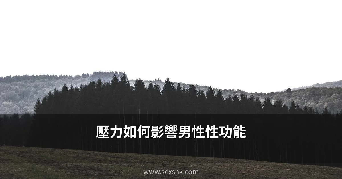 壓力如何影響男性性功能?從生理機制到解決方案 2 sexshk cover 3